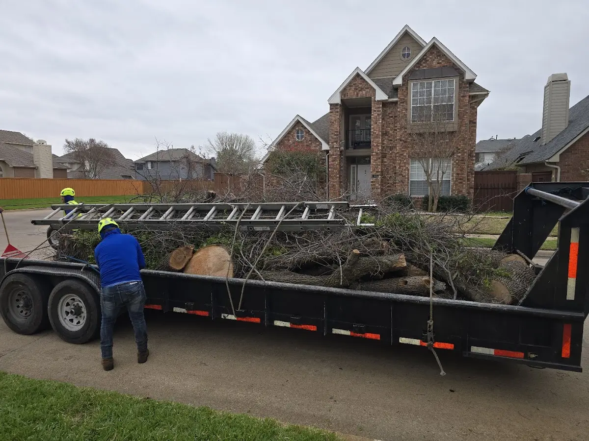 Expert Tree Removal with proper safety equipment in Goessel